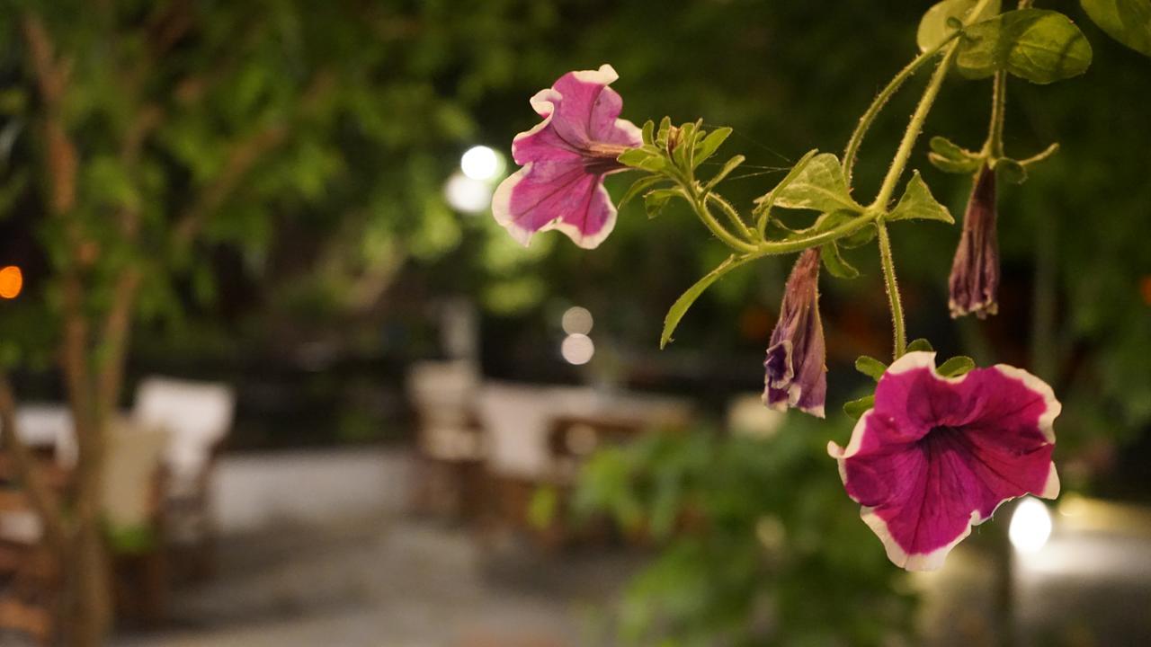 Hotel Morfeas Platamónasz Kültér fotó